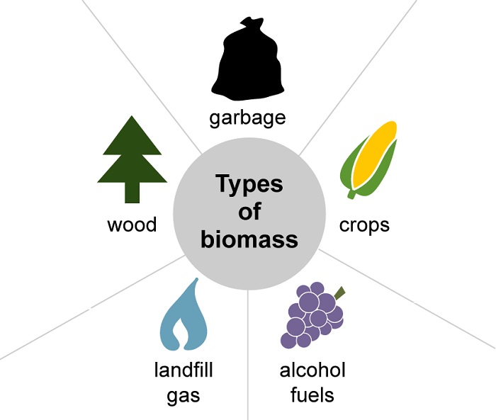 Biomass là gì? 2