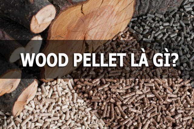 Wood Pellet là gì?